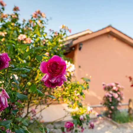 The Shire Apartman Poljane