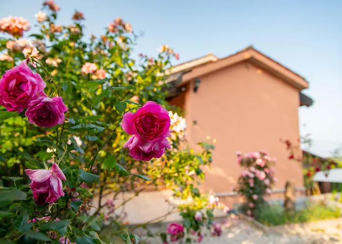 The Shire Apartman Poljane